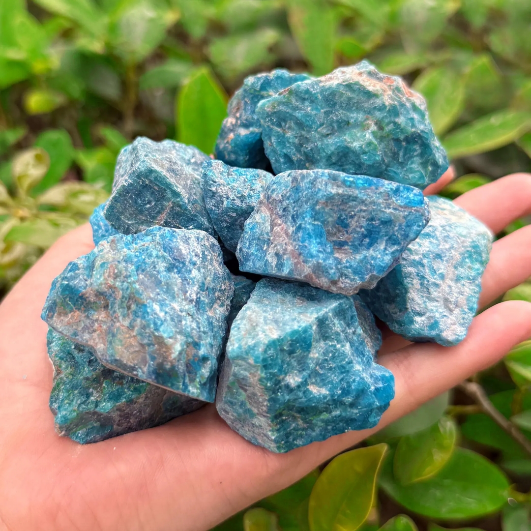 40g/120g/240g Natural Blue Apa - Aquarium Fish Names reseña y precio