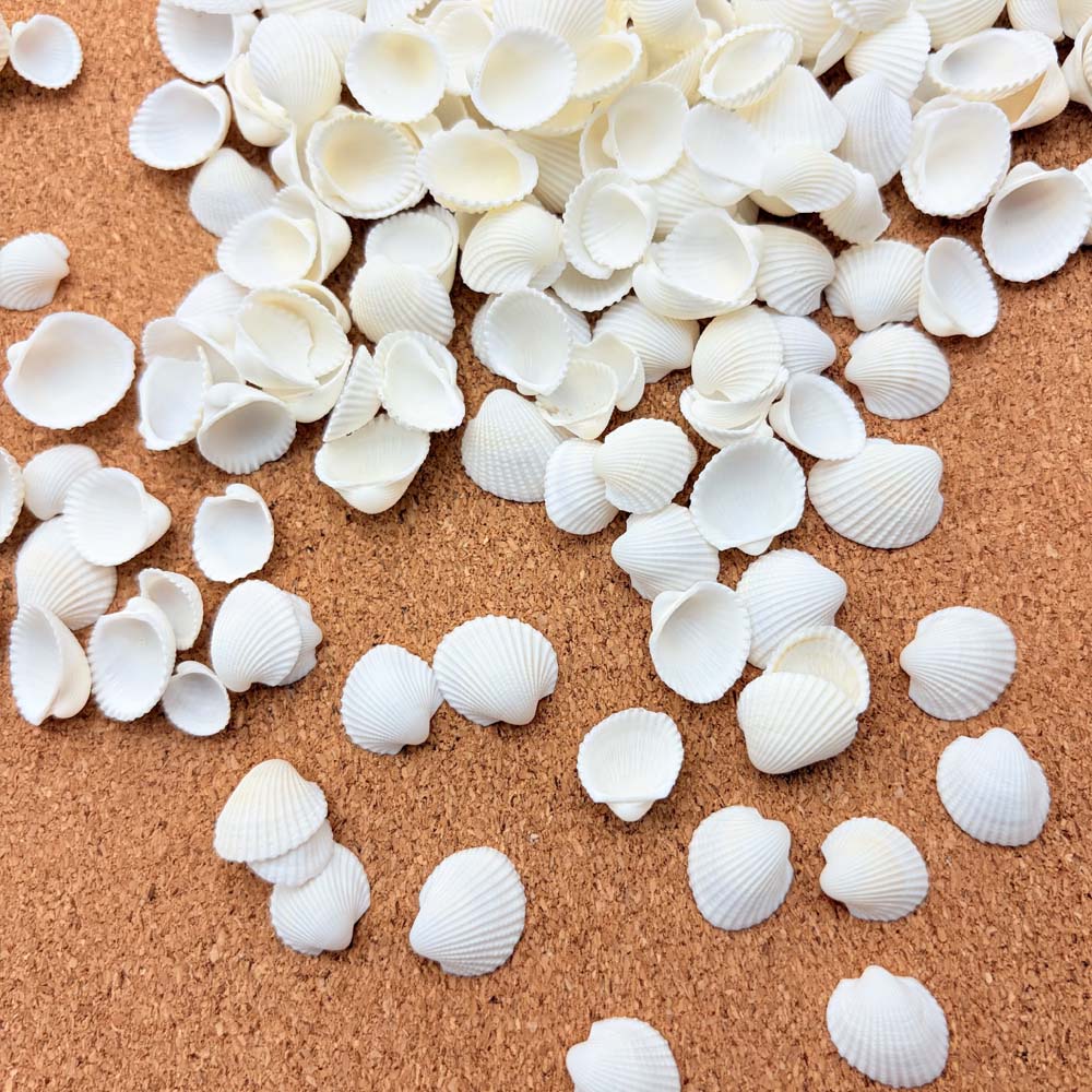 200pcs about 60g Tiny Sea Shel - Aquarium Fish Names reseña y precio