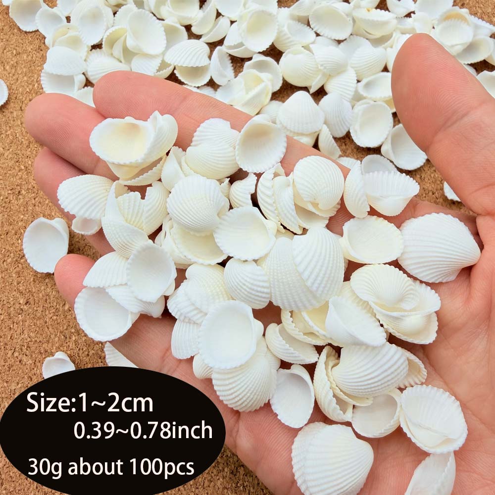200pcs about 60g Tiny Sea Shel - Aquarium Fish Names reseña y precio