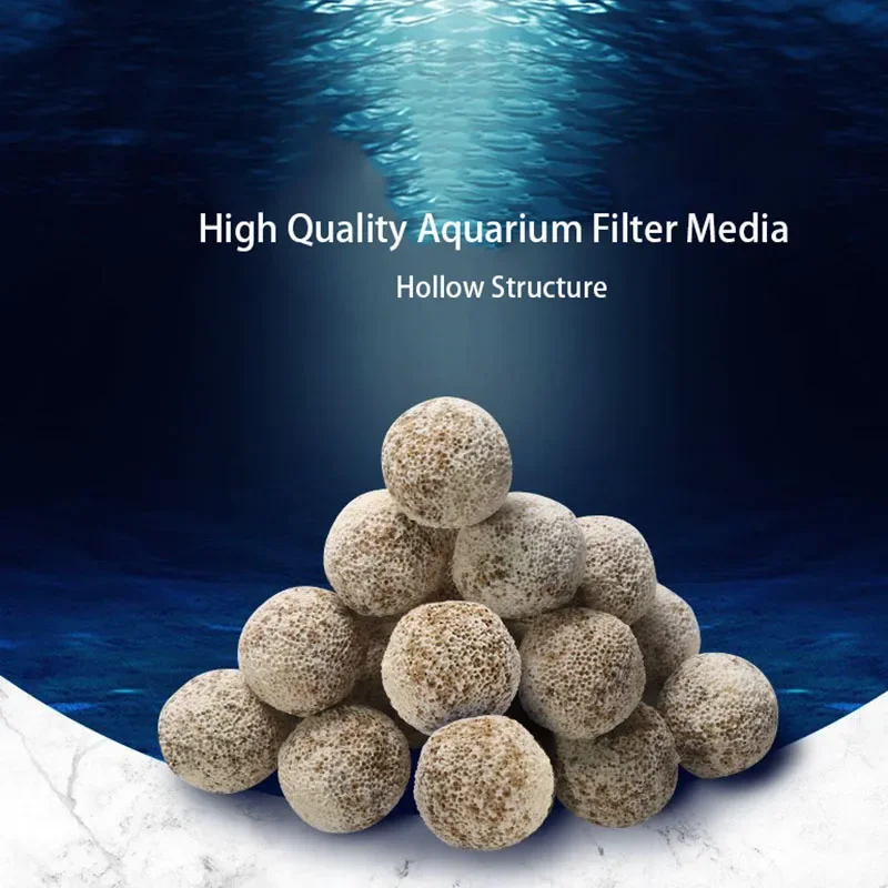 10pcs 20pcs High Quality  Aqua - Aquarium Fish Quality reseña y precio