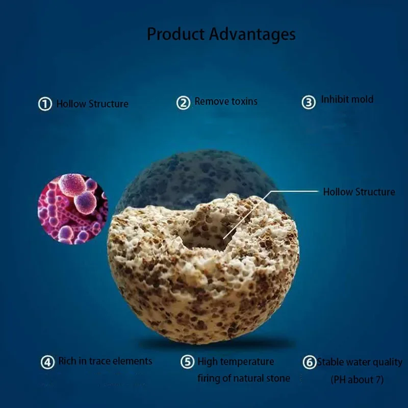 10pcs 20pcs High Quality  Aqua - Aquarium Fish Quality reseña y precio