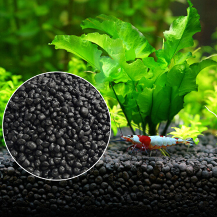 Aquarium Plant Seeds Soil Fish - Aquarium Fish Types reseña y precio