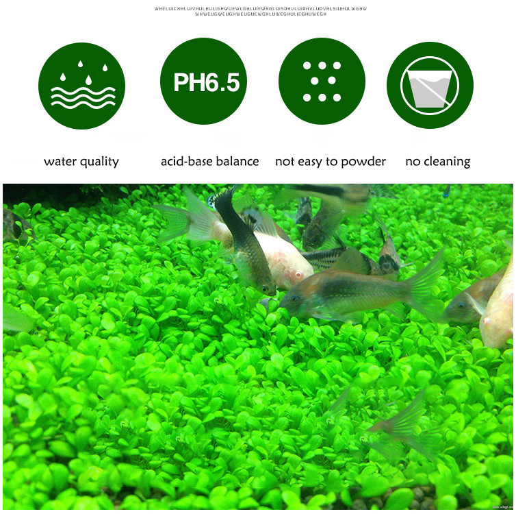 Aquarium Plant Seeds Soil Fish - Aquarium Fish Types reseña y precio