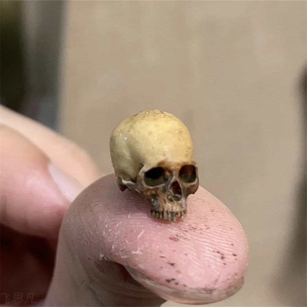 Mini Skull High Quality Miniat - Aquarium Fish Names reseña y precio