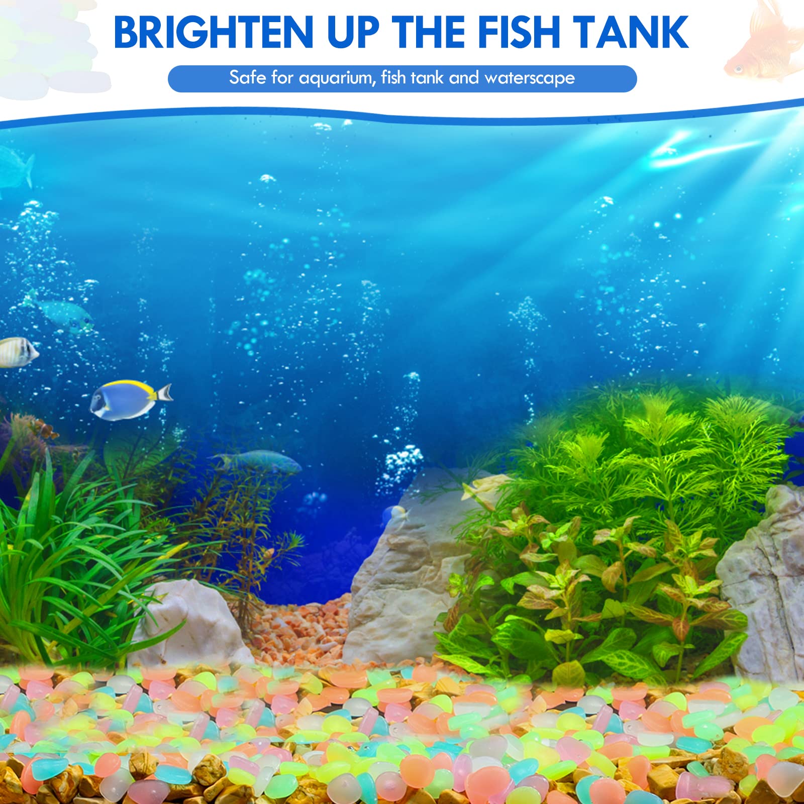 100Pcs Glow in the Dark Garden - Aquarium Fish Types reseña y precio