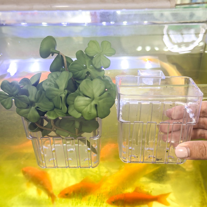 1/5pcs Aquarium Decoration Pla - Aquarium Fish Types reseña y precio
