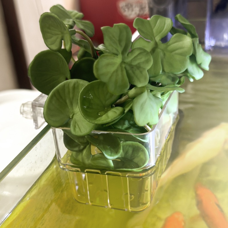 1/5pcs Aquarium Decoration Pla - Aquarium Fish Types reseña y precio