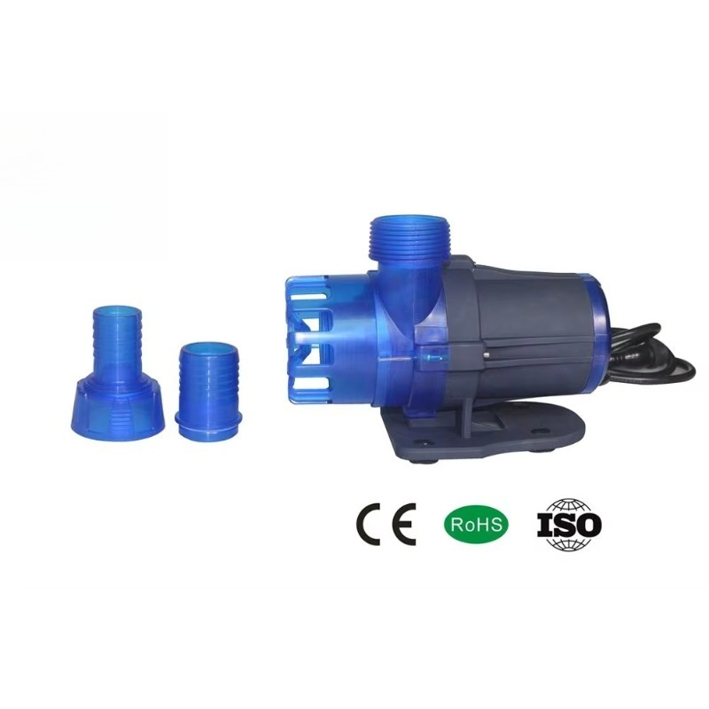 Hot Sale Extra Quiet Seawater  - Aquarium Fish For Sale reseña y precio