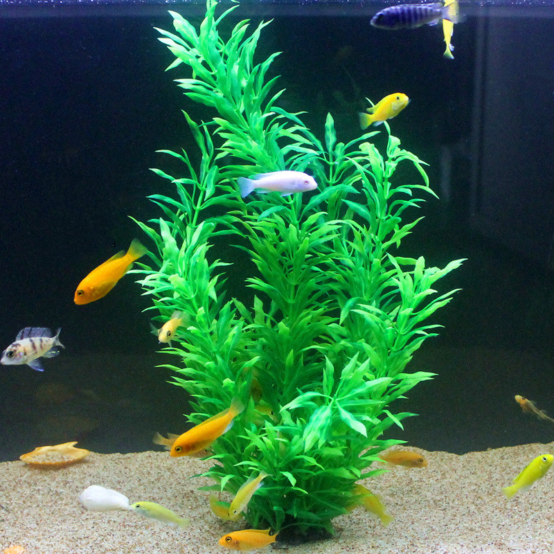 50CM Artificial Fish Tank Rare - Aquarium Fish Types reseña y precio
