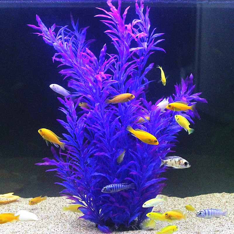 50CM Artificial Fish Tank Rare - Aquarium Fish Types reseña y precio