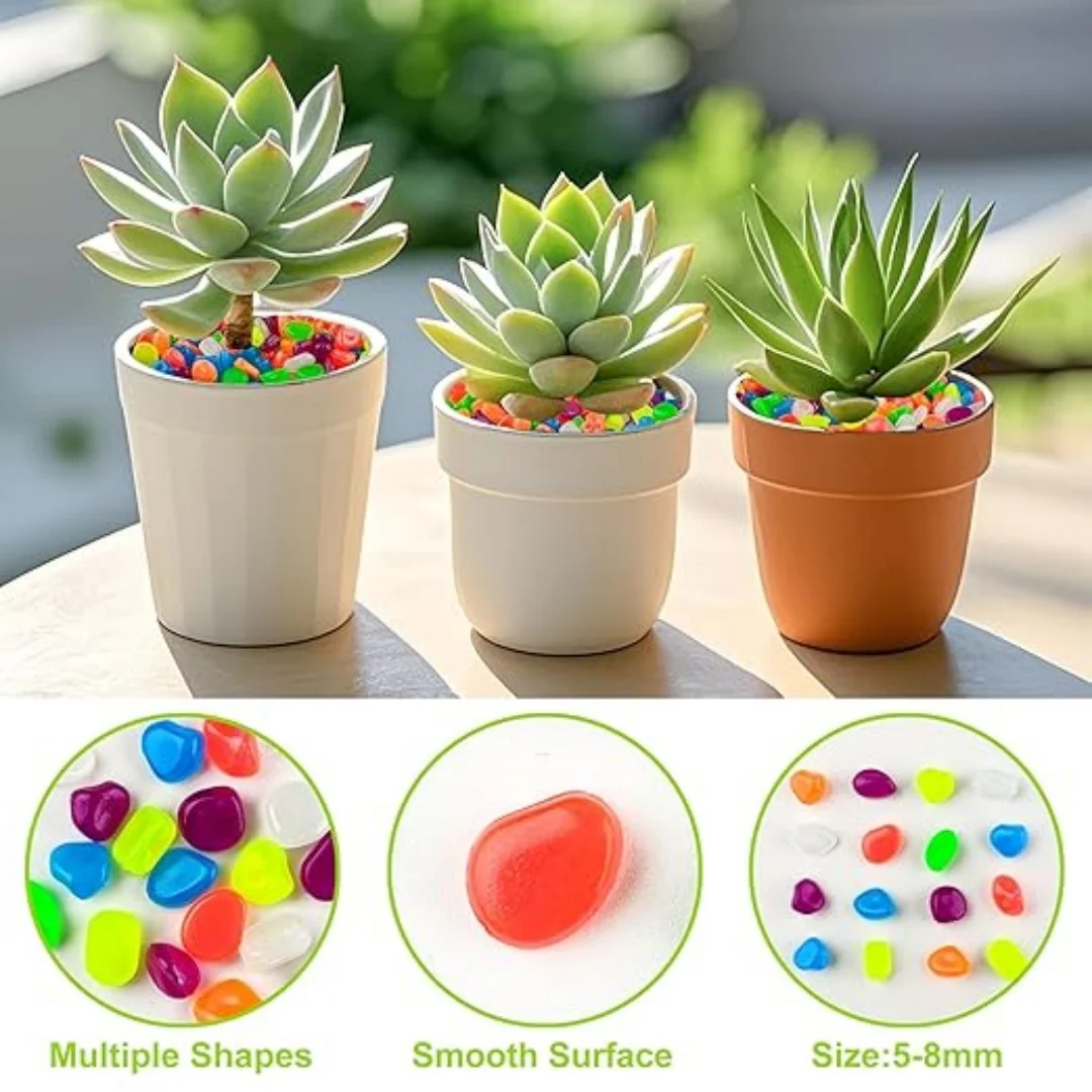 500Pcs Glow in The Dark Garden - Aquarium Fish Types reseña y precio